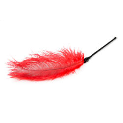 Fouet à plumes